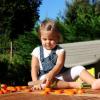 Milaniwood: drewniana gra zręcznościowa Posiekaj marchewkę